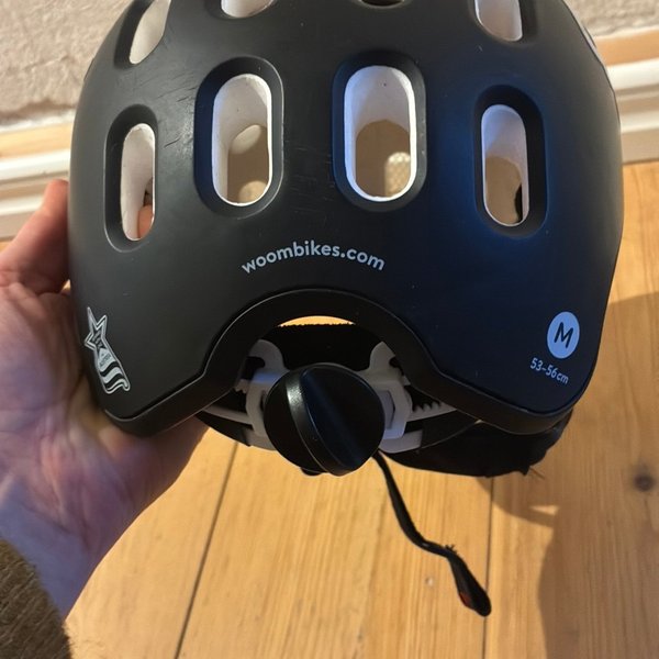 galleryimage 2 zoomed in