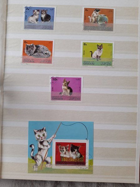 galleryimage 2