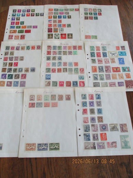 galleryimage 3