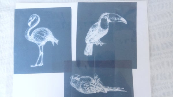 galleryimage 2