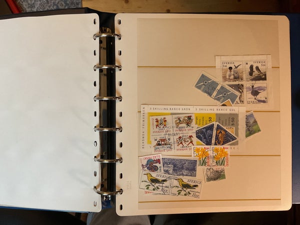 galleryimage 3
