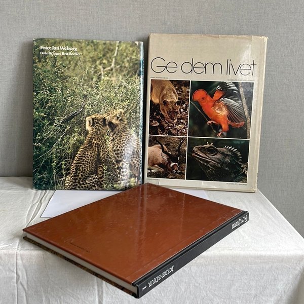 galleryimage 3