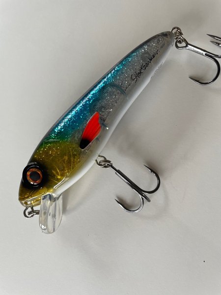 galleryimage 2 zoomed in