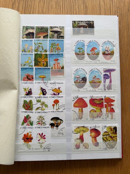 galleryimage 2