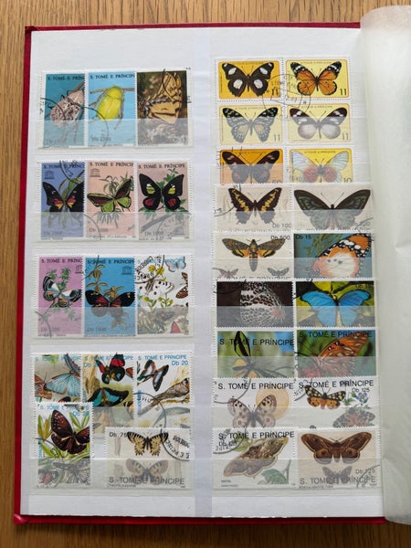 galleryimage 3