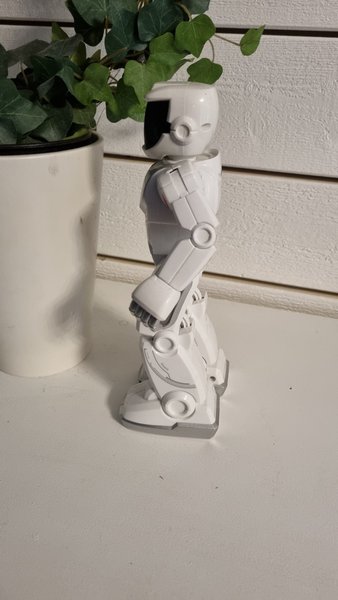galleryimage 2
