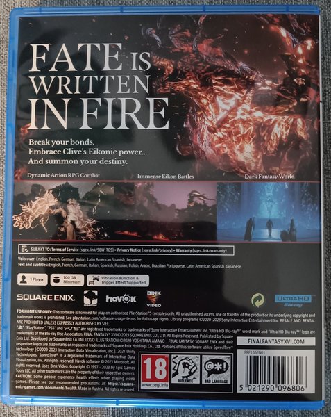 galleryimage 2 zoomed in