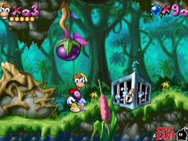 galleryimage 3