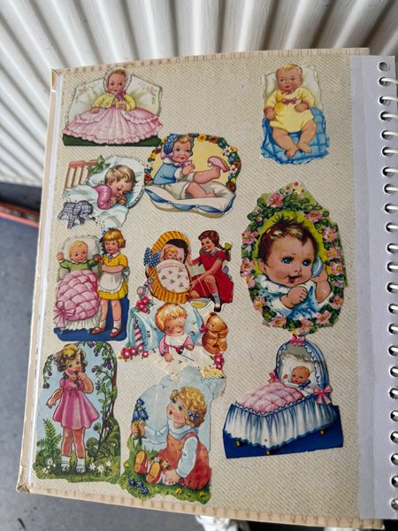 galleryimage 3