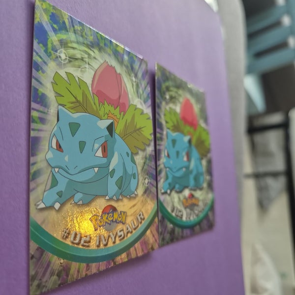 galleryimage 3
