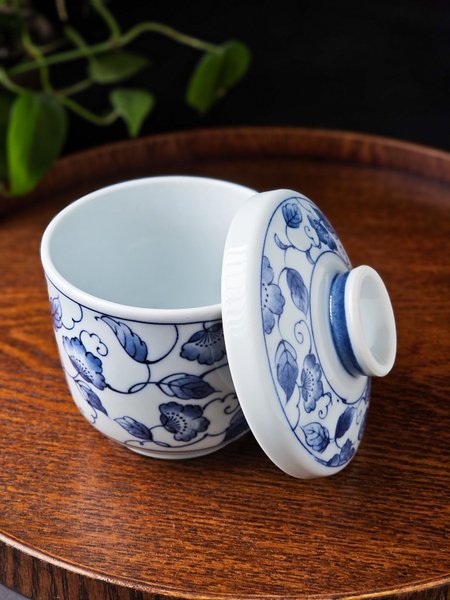 galleryimage 2 zoomed in