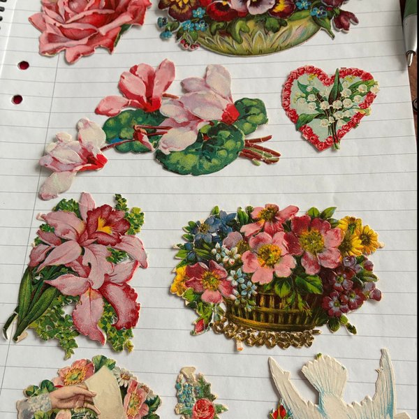 galleryimage 2 zoomed in