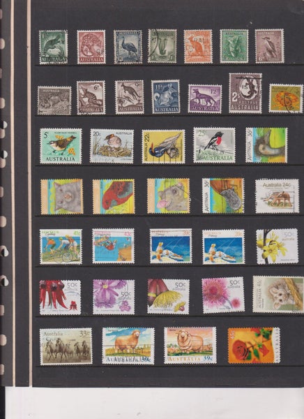 galleryimage 2