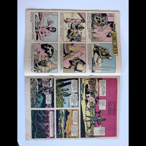 galleryimage 3
