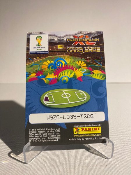 galleryimage 2 zoomed in