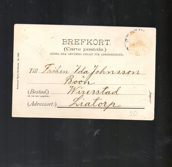 galleryimage 2 zoomed in