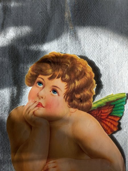 galleryimage 3