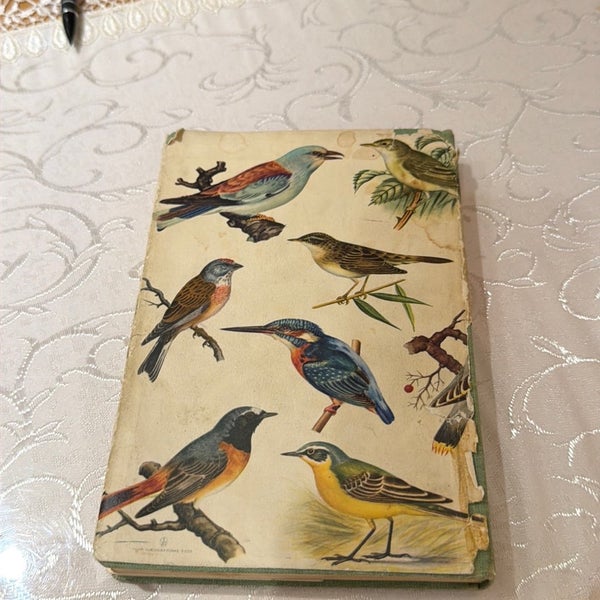 galleryimage 3