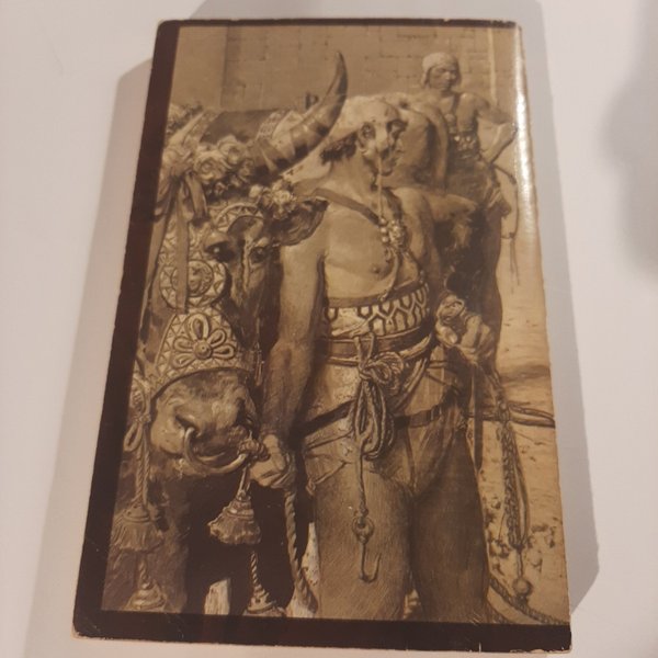 galleryimage 2