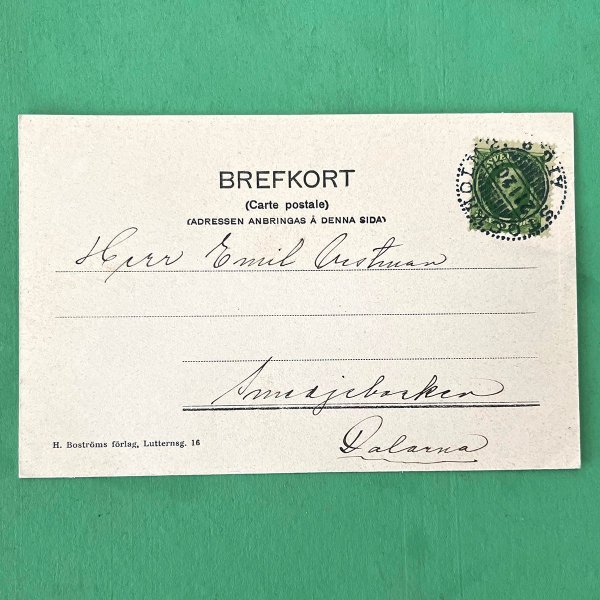 galleryimage 2 zoomed in