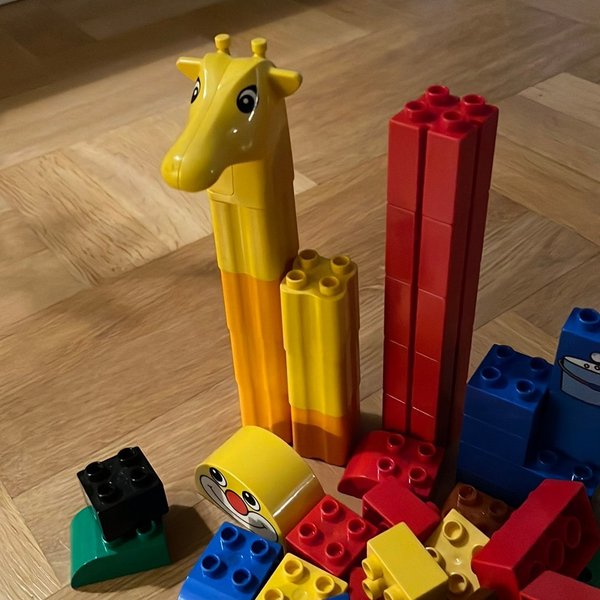 galleryimage 2