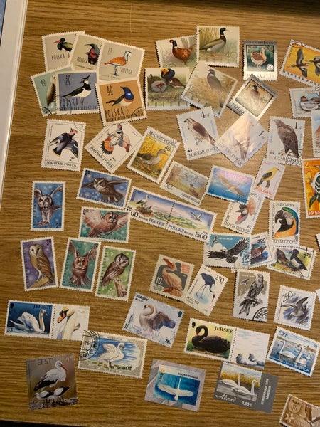 galleryimage 2