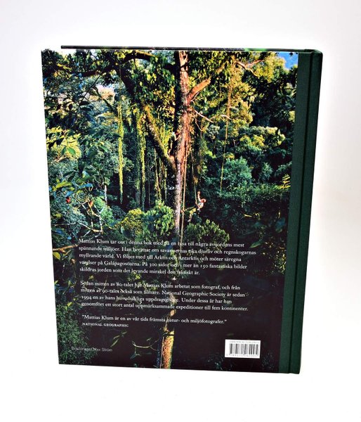 galleryimage 2 zoomed in