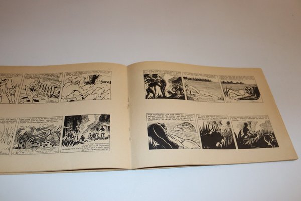 galleryimage 3