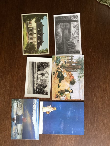 galleryimage 3