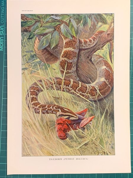 galleryimage 2 zoomed in