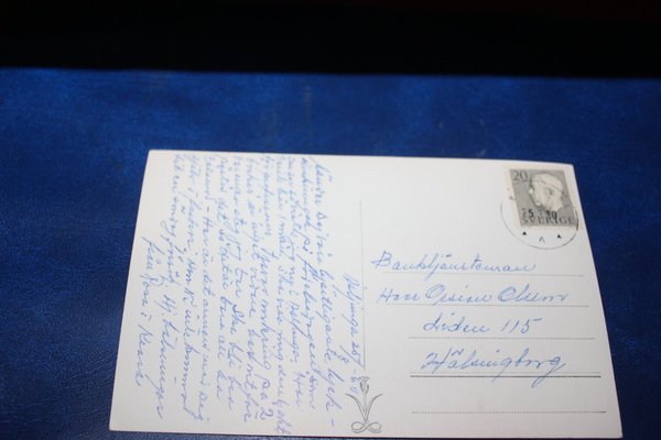 galleryimage 2 zoomed in