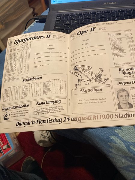 galleryimage 2 zoomed in