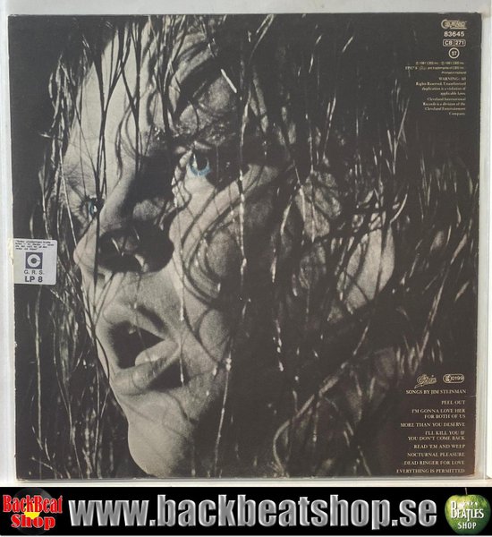 galleryimage 2 zoomed in