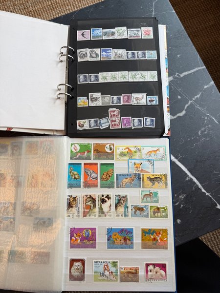 galleryimage 2