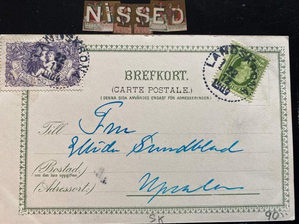 galleryimage 2 zoomed in