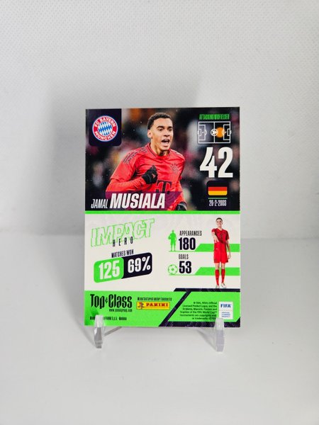 galleryimage 2 zoomed in