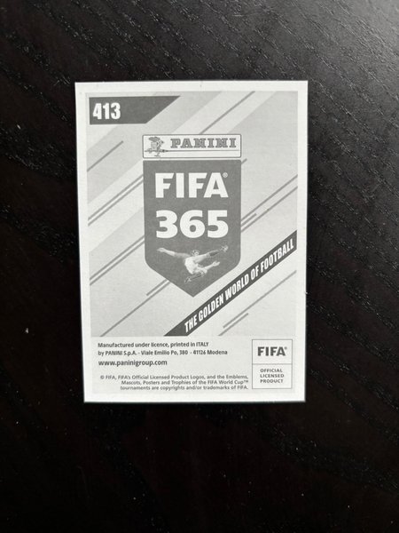 galleryimage 2 zoomed in