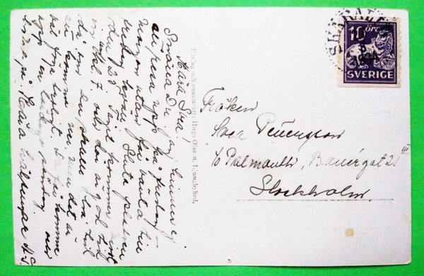 galleryimage 2 zoomed in