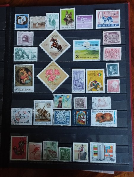 galleryimage 2