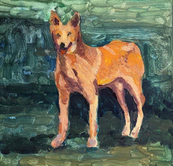 galleryimage 3
