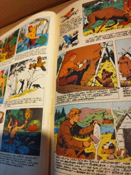 galleryimage 2