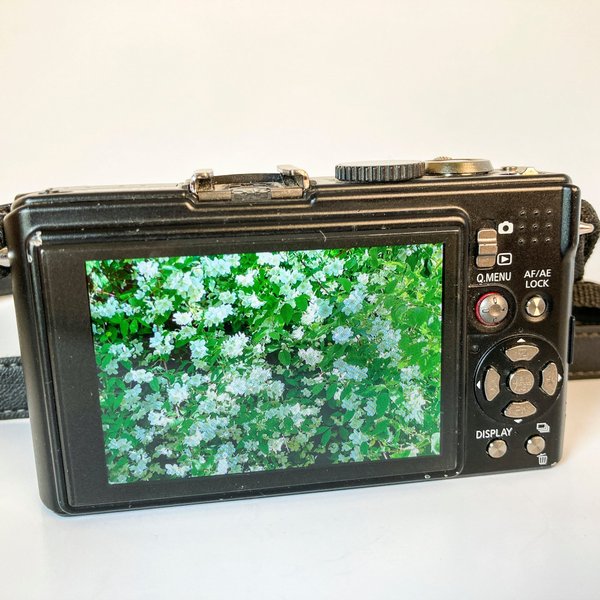 galleryimage 3