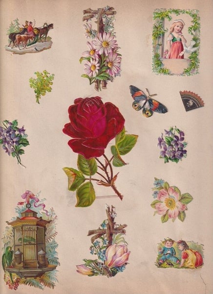 galleryimage 3