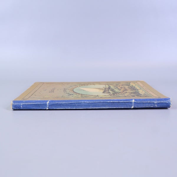 galleryimage 3