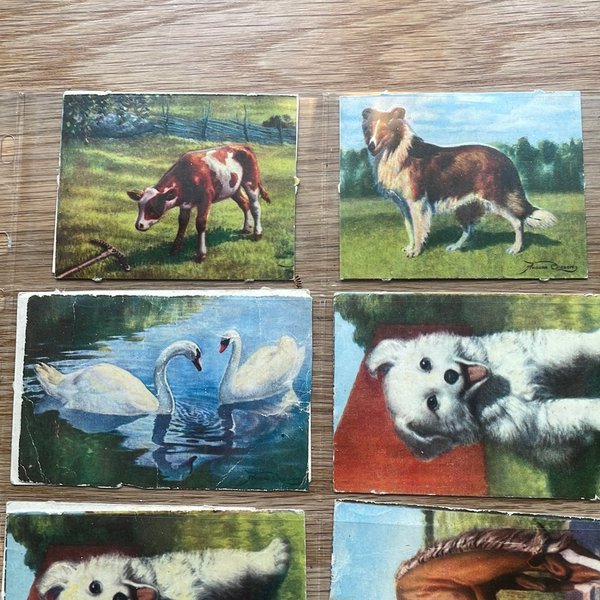 galleryimage 3