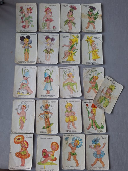 galleryimage 3