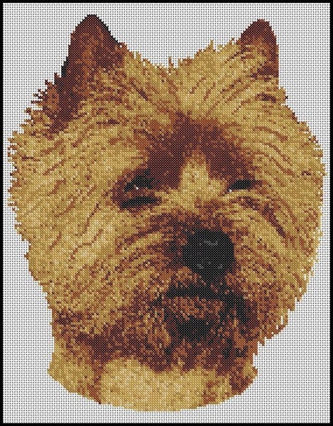 galleryimage 2 zoomed in
