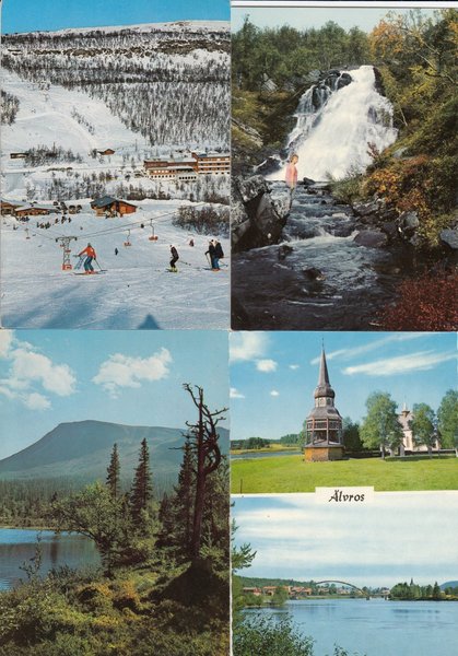 galleryimage 2