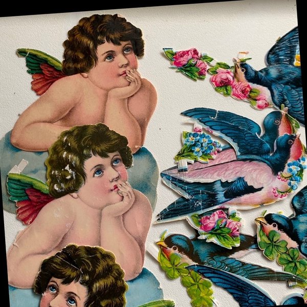 galleryimage 2
