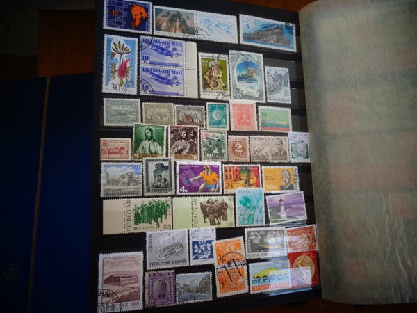galleryimage 2